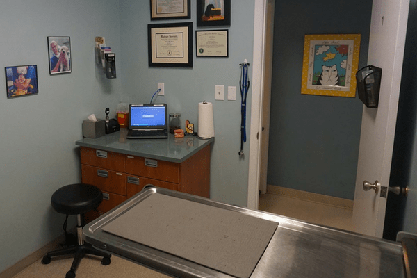 Strawbridge Animal Care's checkup room 1 where there is metal table for your table to get looked at and a small corner desk area with a computer to gather medical information for and from your pet.