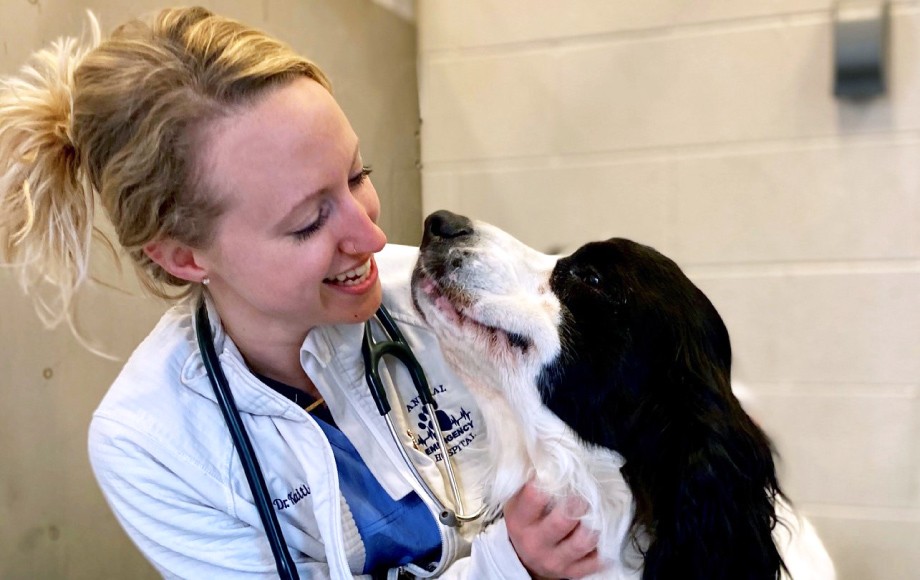 Careers Animal Emergency Hospital