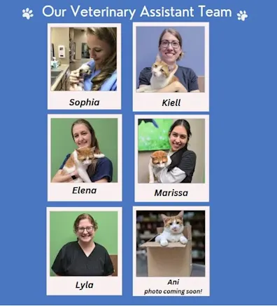 Pencil Puppy Pencil Puppy