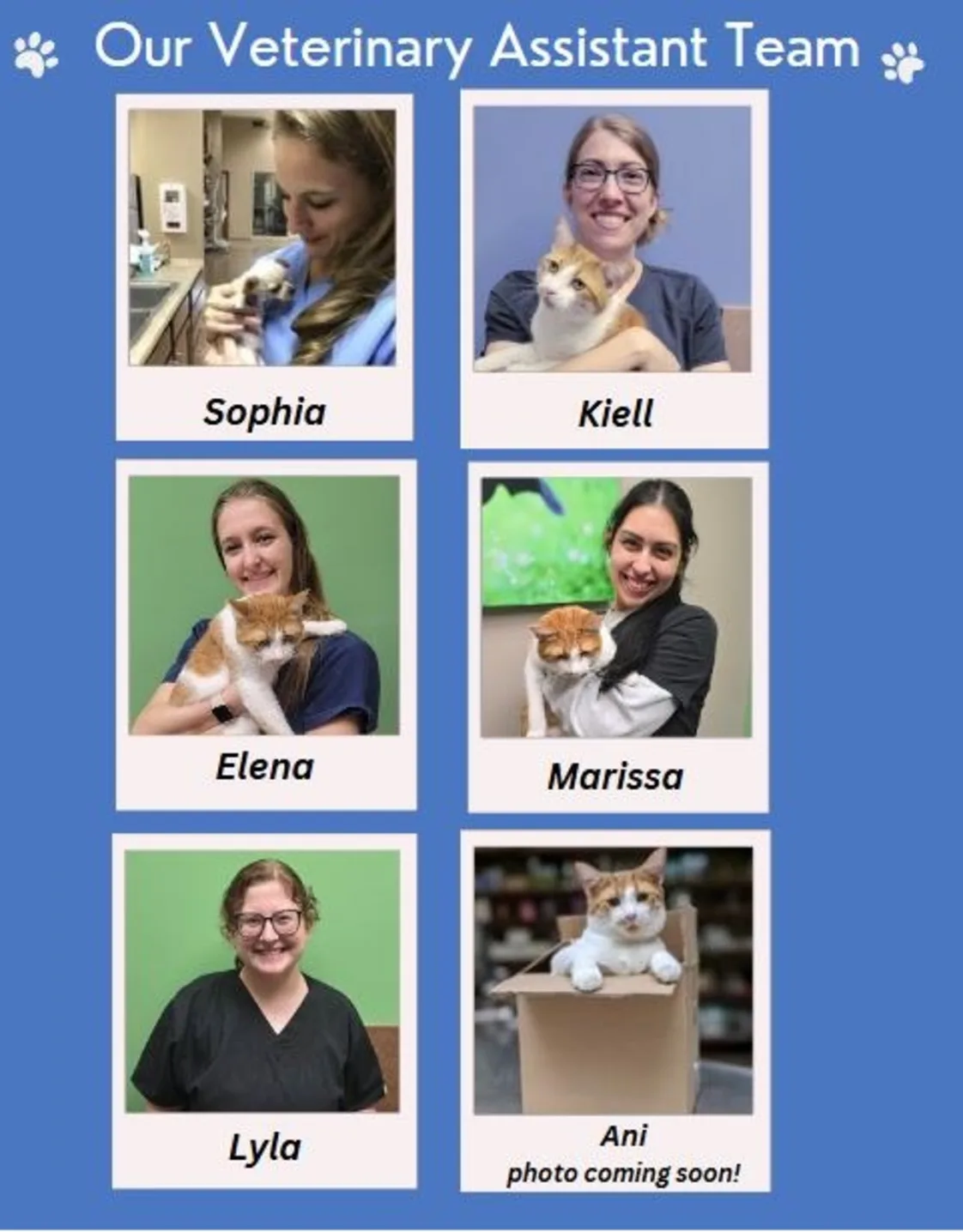 Pencil Puppy Pencil Puppy