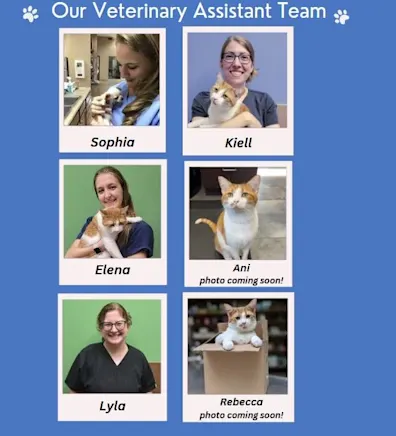 Pencil Puppy Pencil Puppy