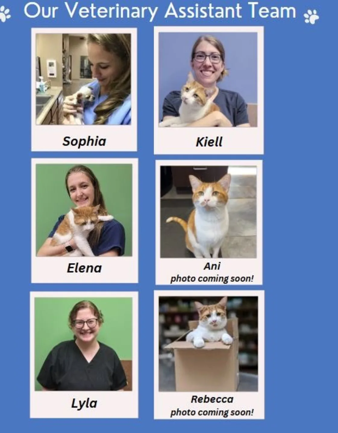 Pencil Puppy Pencil Puppy