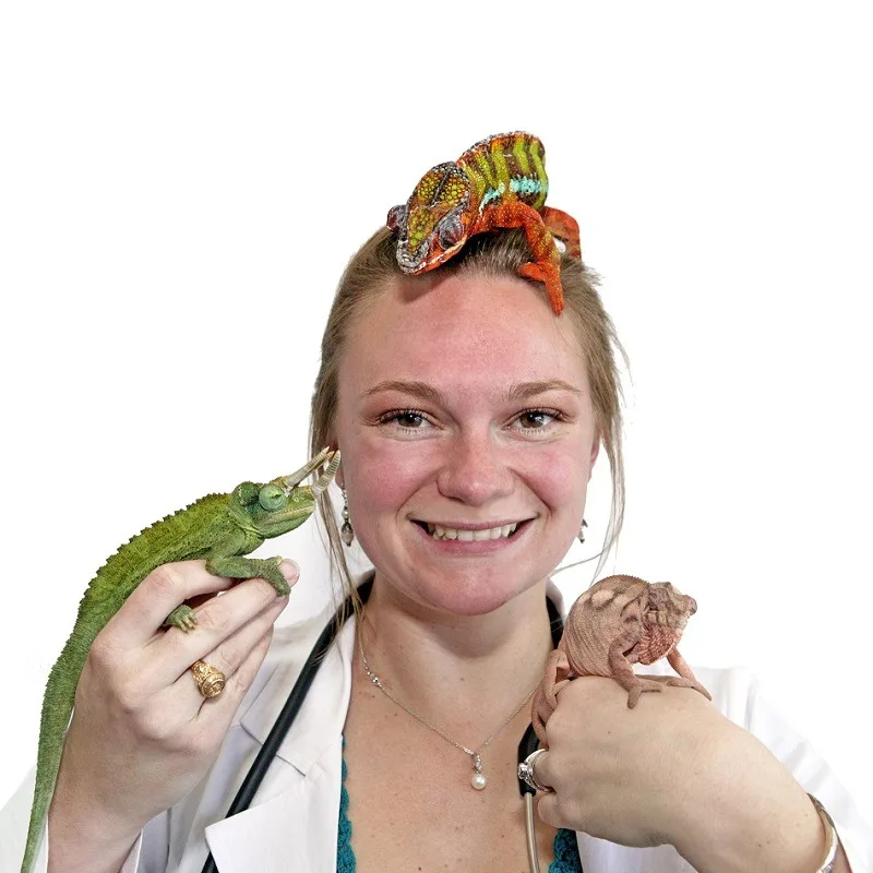Dr. Dayna Willems with lizards on her hands and head Dr. Dayna Willems with lizards on her hands and head