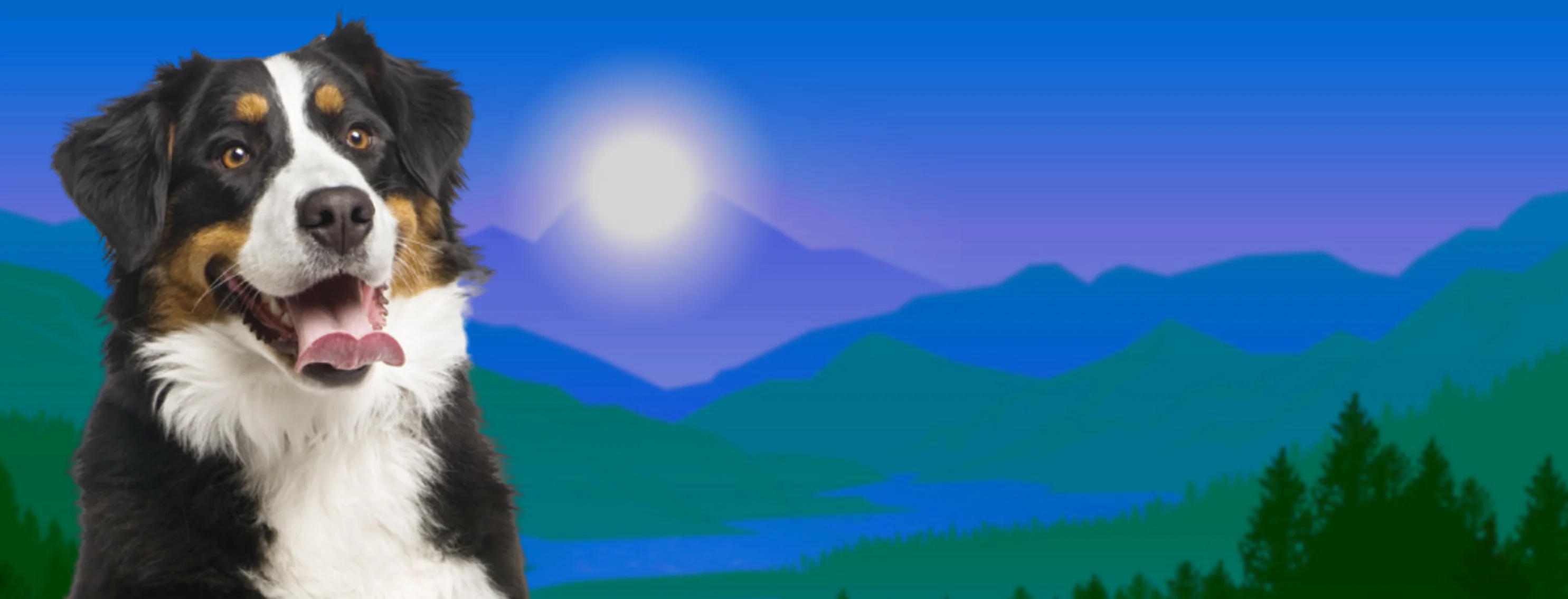 Smiling dog in woodscape Smiling dog in woodscape