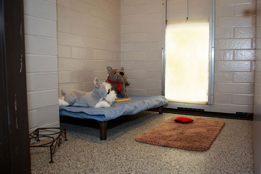 Private room at Happy Tails Pet Resort 