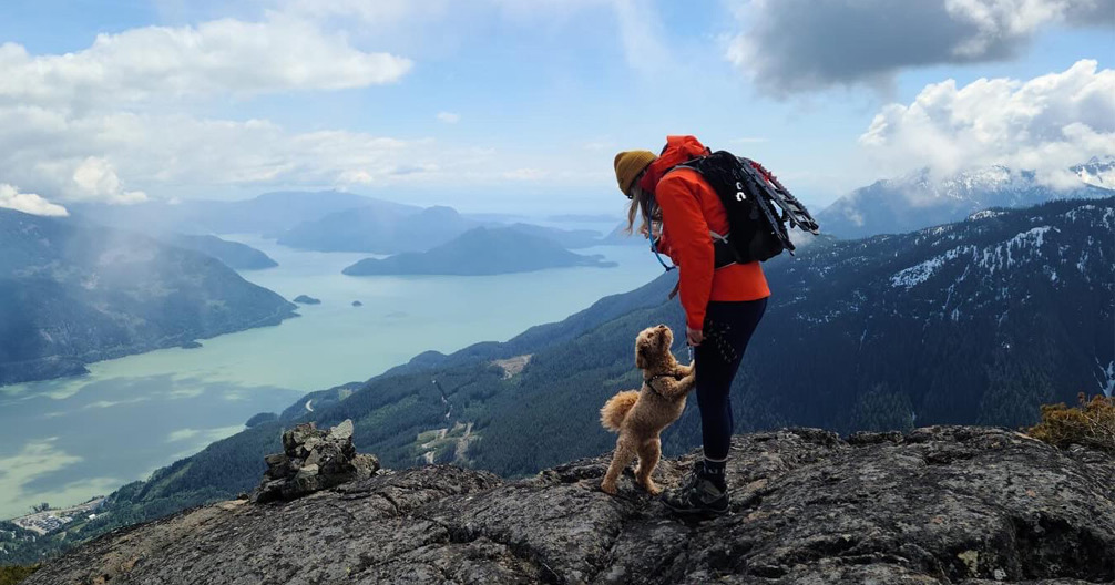 Eagleview Veterinary Hospital