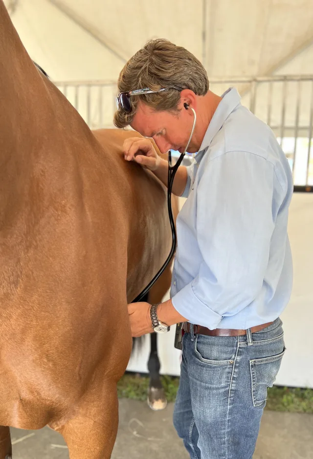 Dr. Isaiah Robinson uses a stethoscope to measure a horse's heart rate