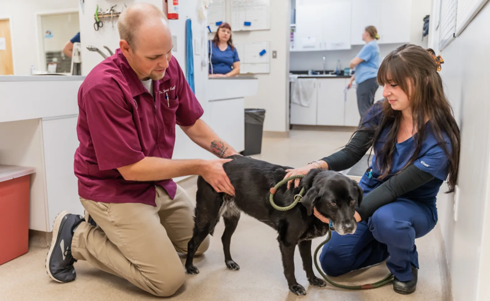 Dr. Stuart Callahan and student technician Kylie at Mechincsville Animal Hospital Dr. Stuart Callahan and student technician Kylie at Mechincsville Animal Hospital
