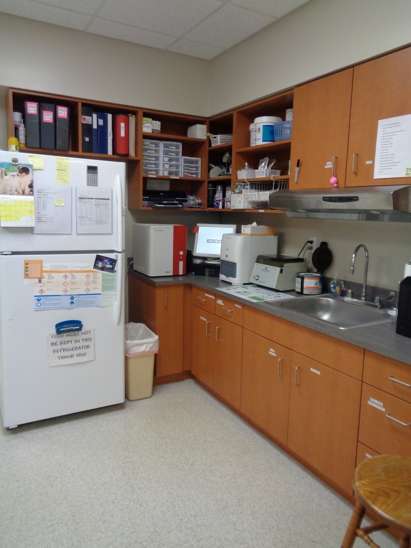 Lakeview Animal Hospital Lab