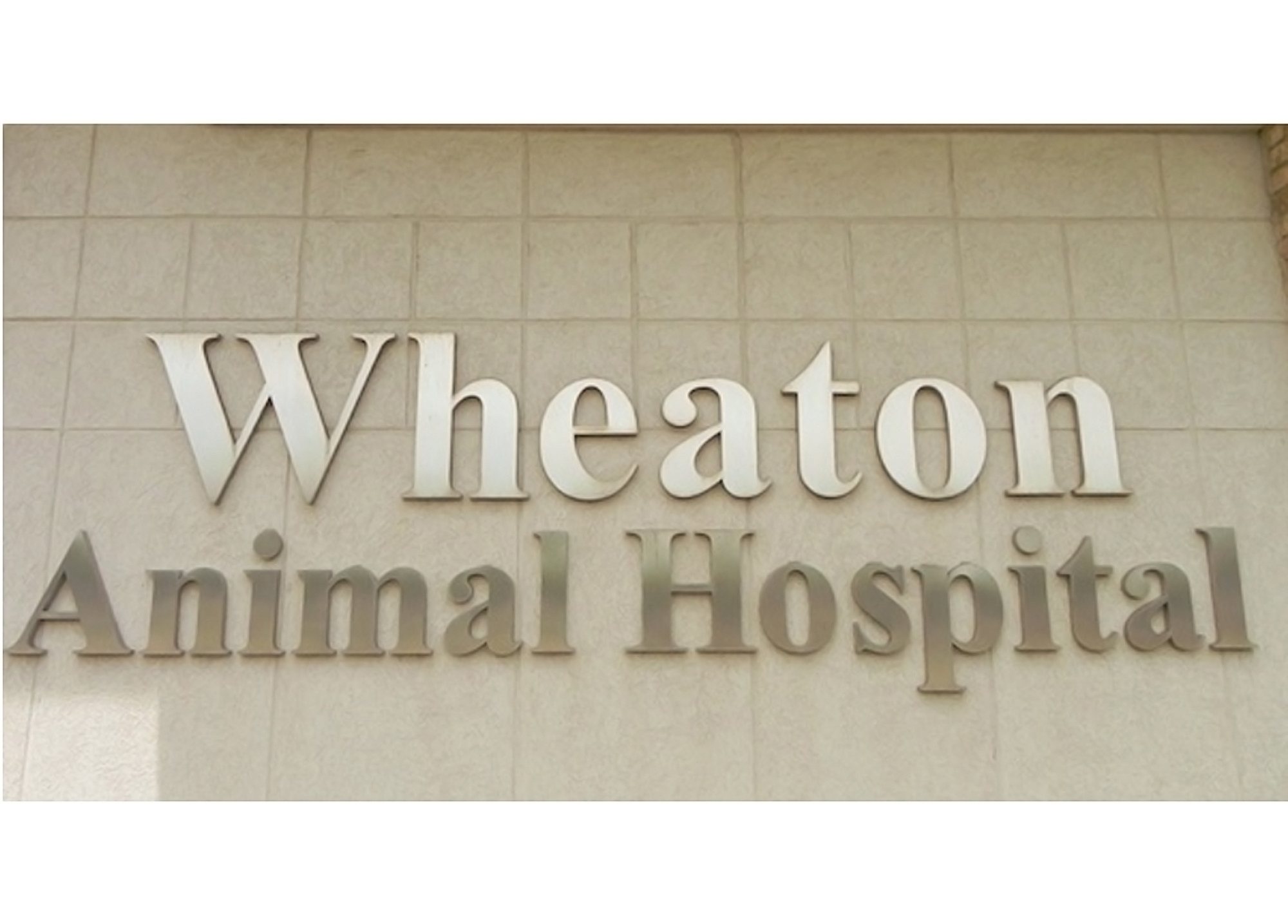 Wheaton Animal Hospital Sign