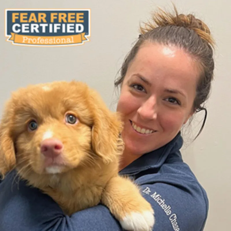 Dr. Michelle Chase holding a dog Dr. Michelle Chase holding a dog
