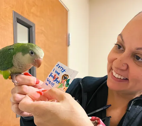 Staff holding a bird. Staff holding a bird.
