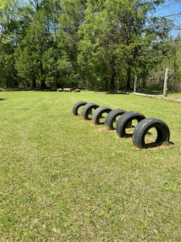 Tires obstacle course at the dog park.