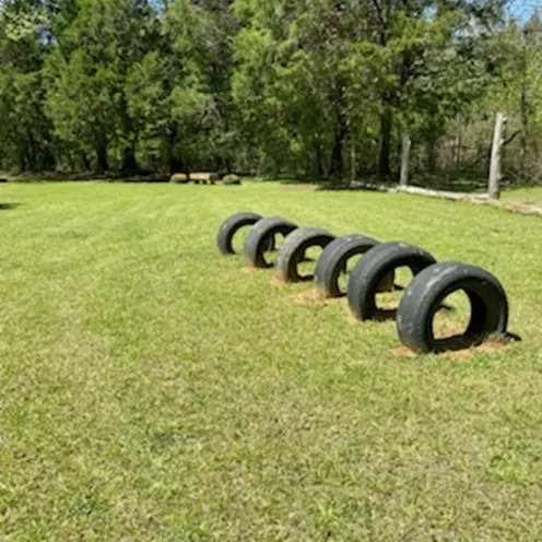 Tires obstacle course at the dog park.