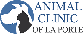 Veterinary Care in La Porte, TX | Animal Clinic of La Porte
