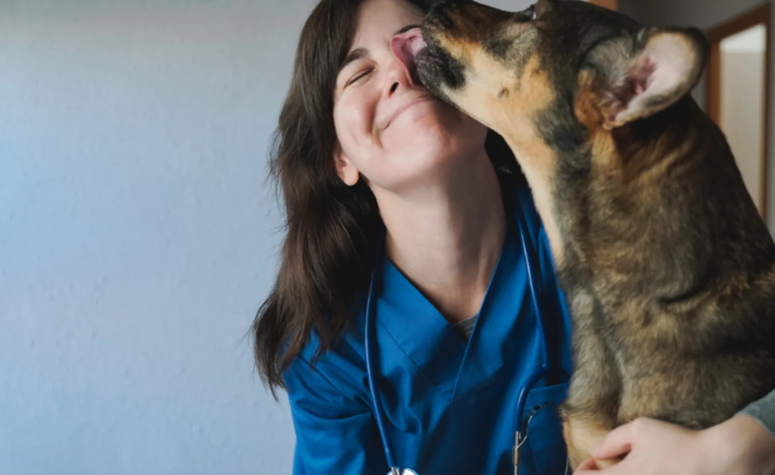 Dog Licking Veterinarian's Face Dog Licking Veterinarian's Face