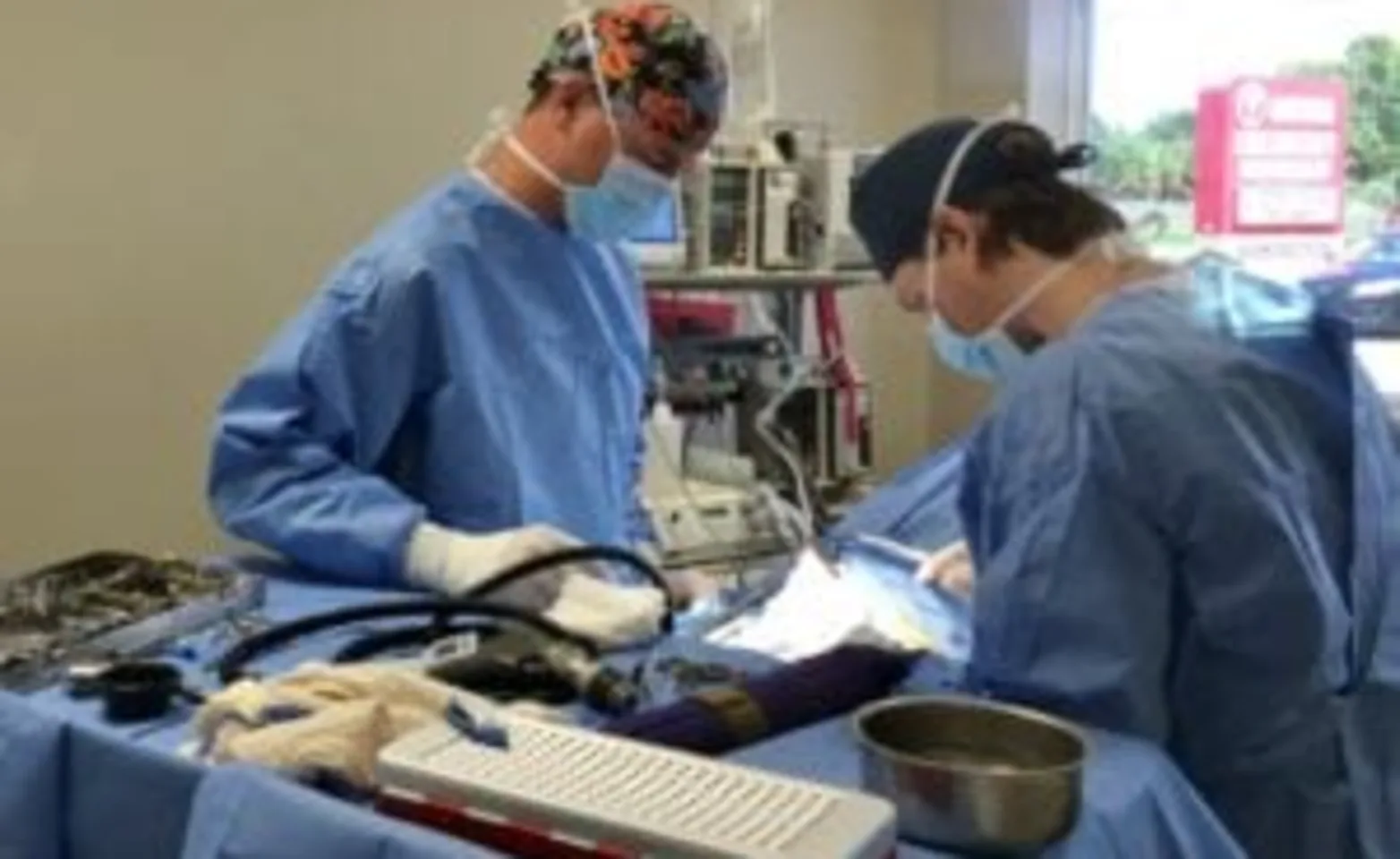 2 veterinarians performing orthopedic surgery 2 veterinarians performing orthopedic surgery