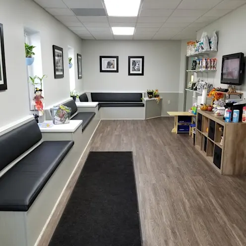 Sea Island Animal Hospital New Lobby and Refreshments Sea Island Animal Hospital New Lobby and Refreshments