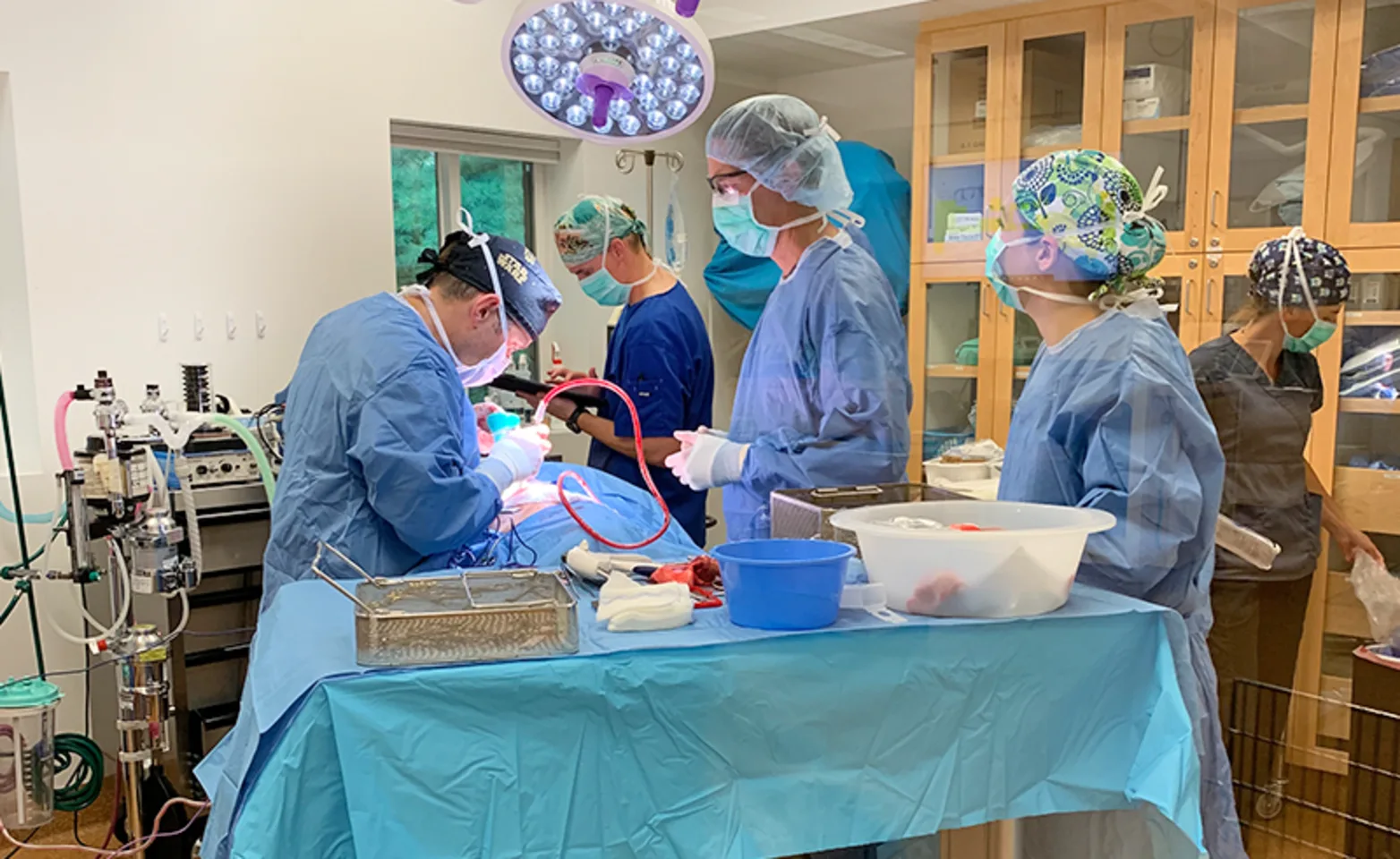Staff members in an operation Staff members in an operation