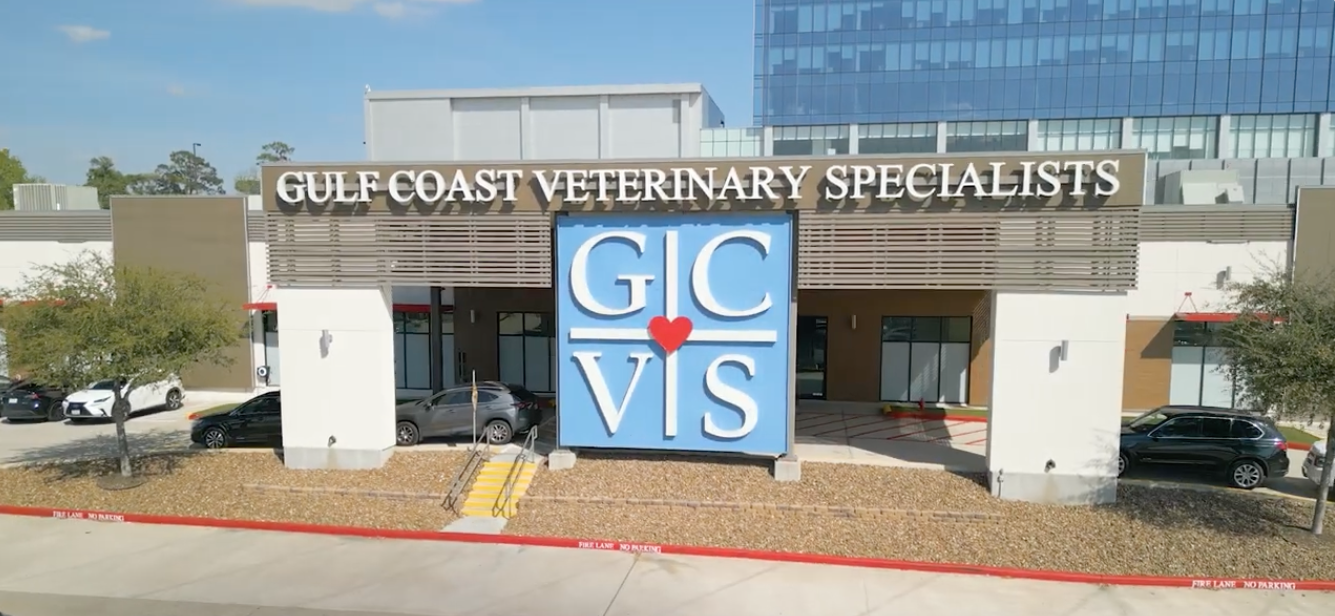 Outdoor, wide view of the Gulf Coast Veterinary Specialists Houston Location
