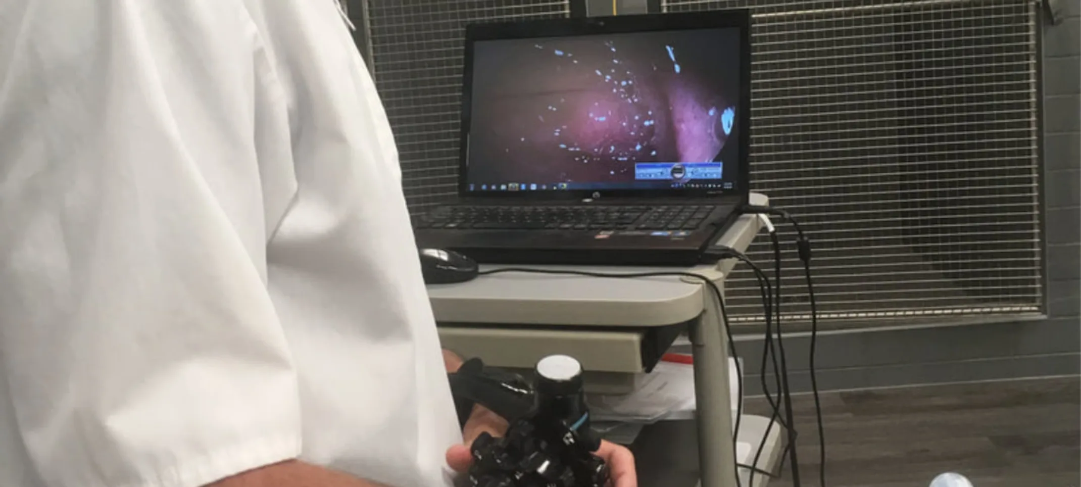 Doctor performing an endoscopy procedure Doctor performing an endoscopy procedure