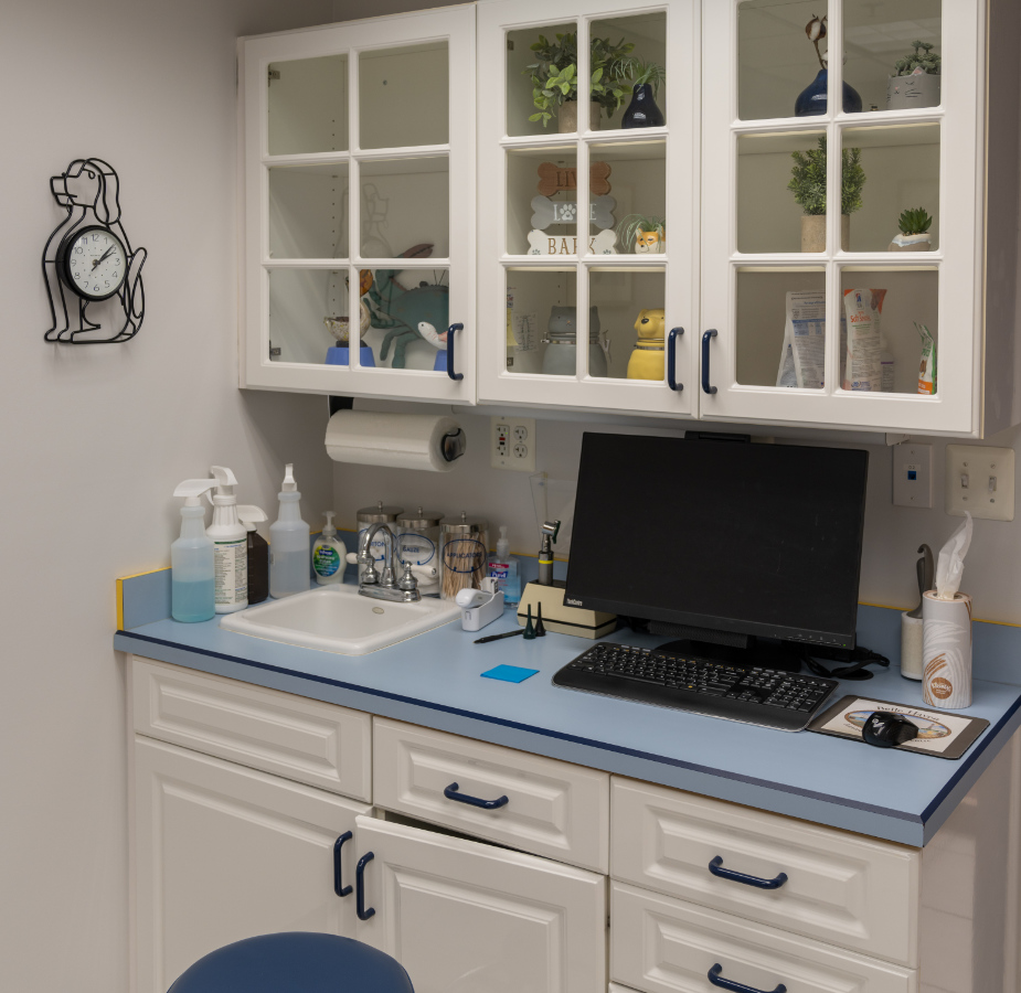 Exam room computer and medical tools