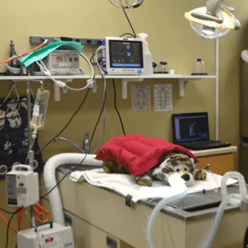 Critical Care/Surgical Center - Dental Equipment Critical Care/Surgical Center - Dental Equipment