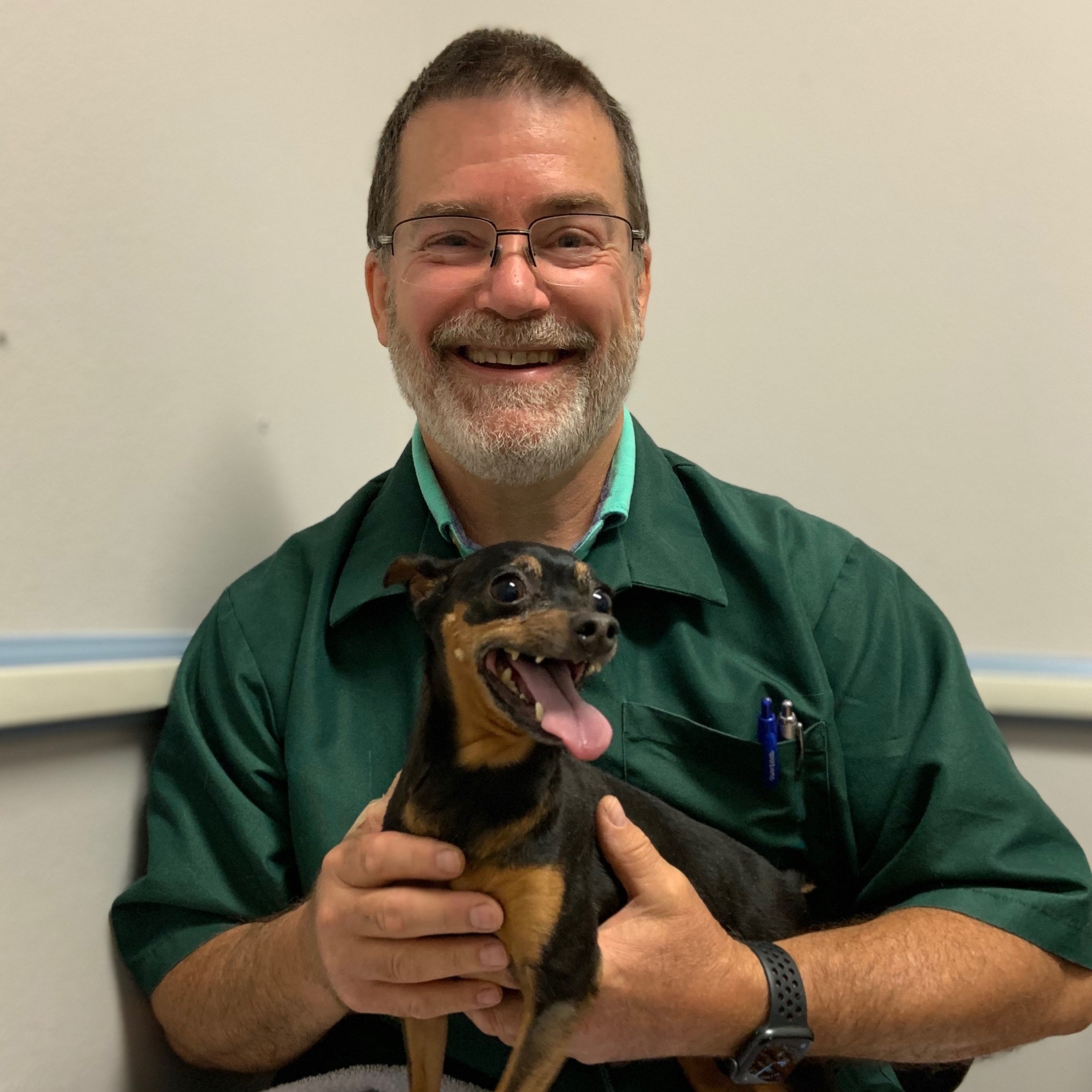 Dr. Mike Tyler | Greywolf Veterinary Hospital