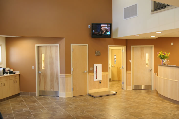 Montville Veterinary Group Lobby Area