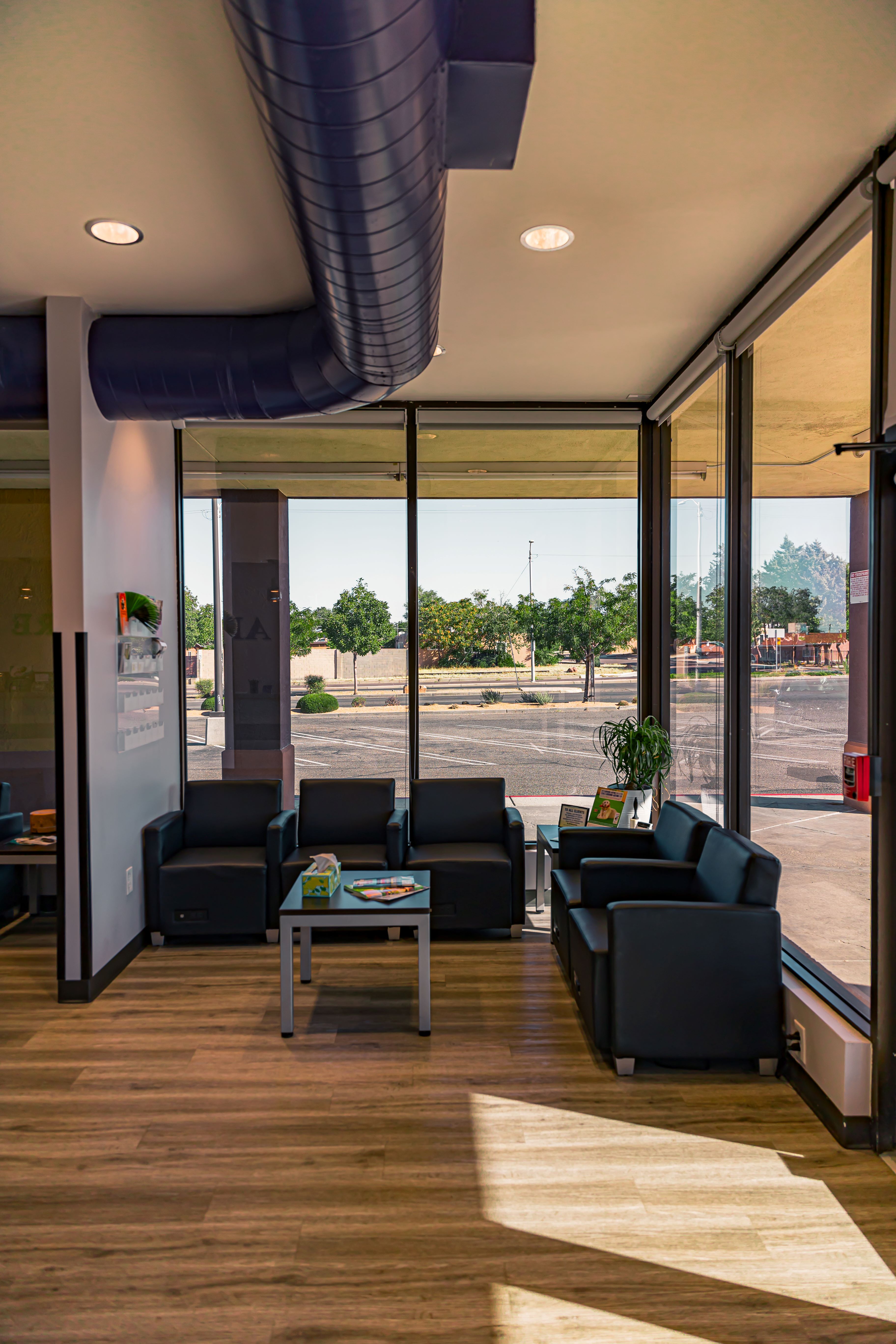 Lobby Area at ABQ Petcare Hospital