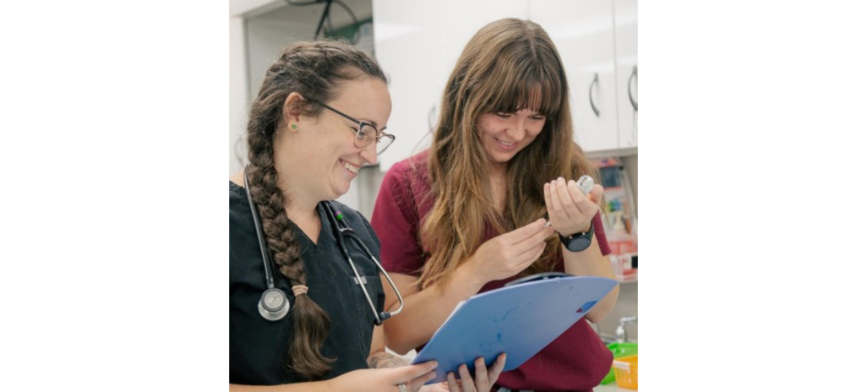 Veterinarians Looking at Microchip Device