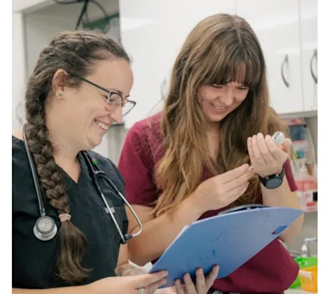 Veterinarians Looking at Microchip Device Veterinarians Looking at Microchip Device
