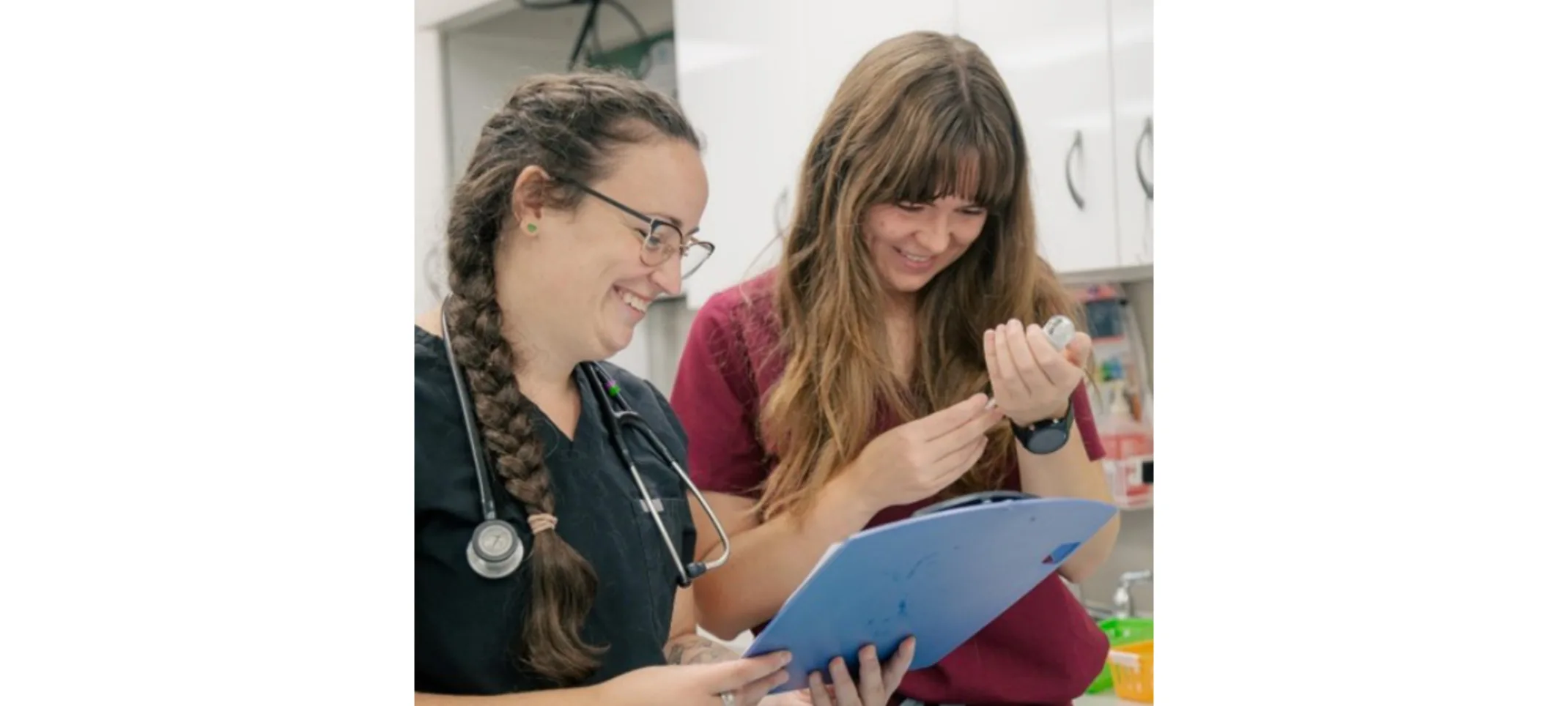 Veterinarians Looking at Microchip Device Veterinarians Looking at Microchip Device