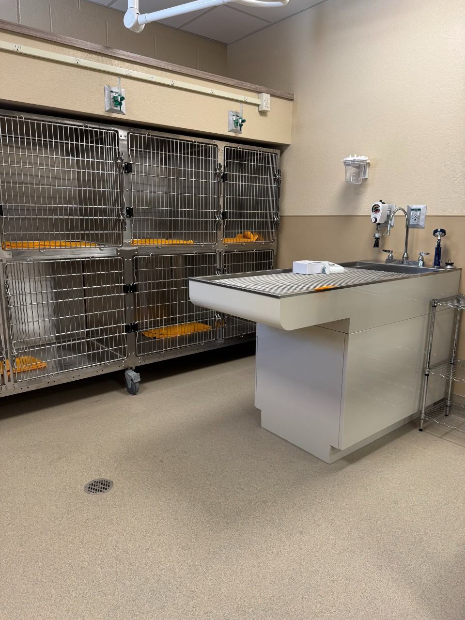An operating table in front of two rows of kennels.