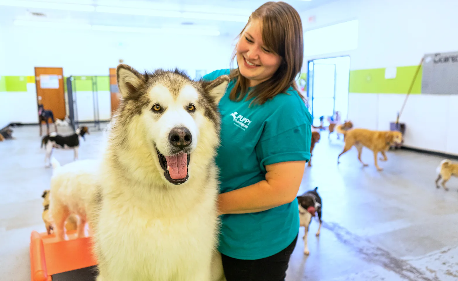 Staff with dog at Puppy Playground Staff with dog at Puppy Playground