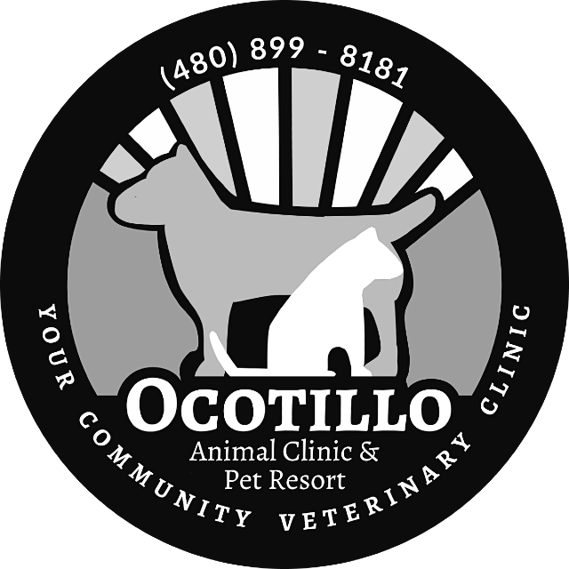 Ocotillo Animal Clinic & Pet Resort Logo