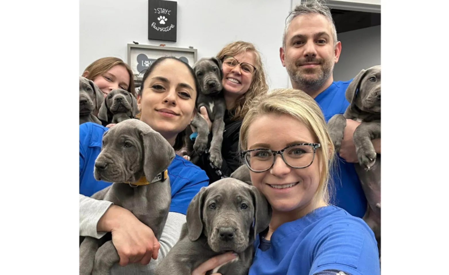 Valley Veterinary Hospital posing with puppies Valley Veterinary Hospital posing with puppies
