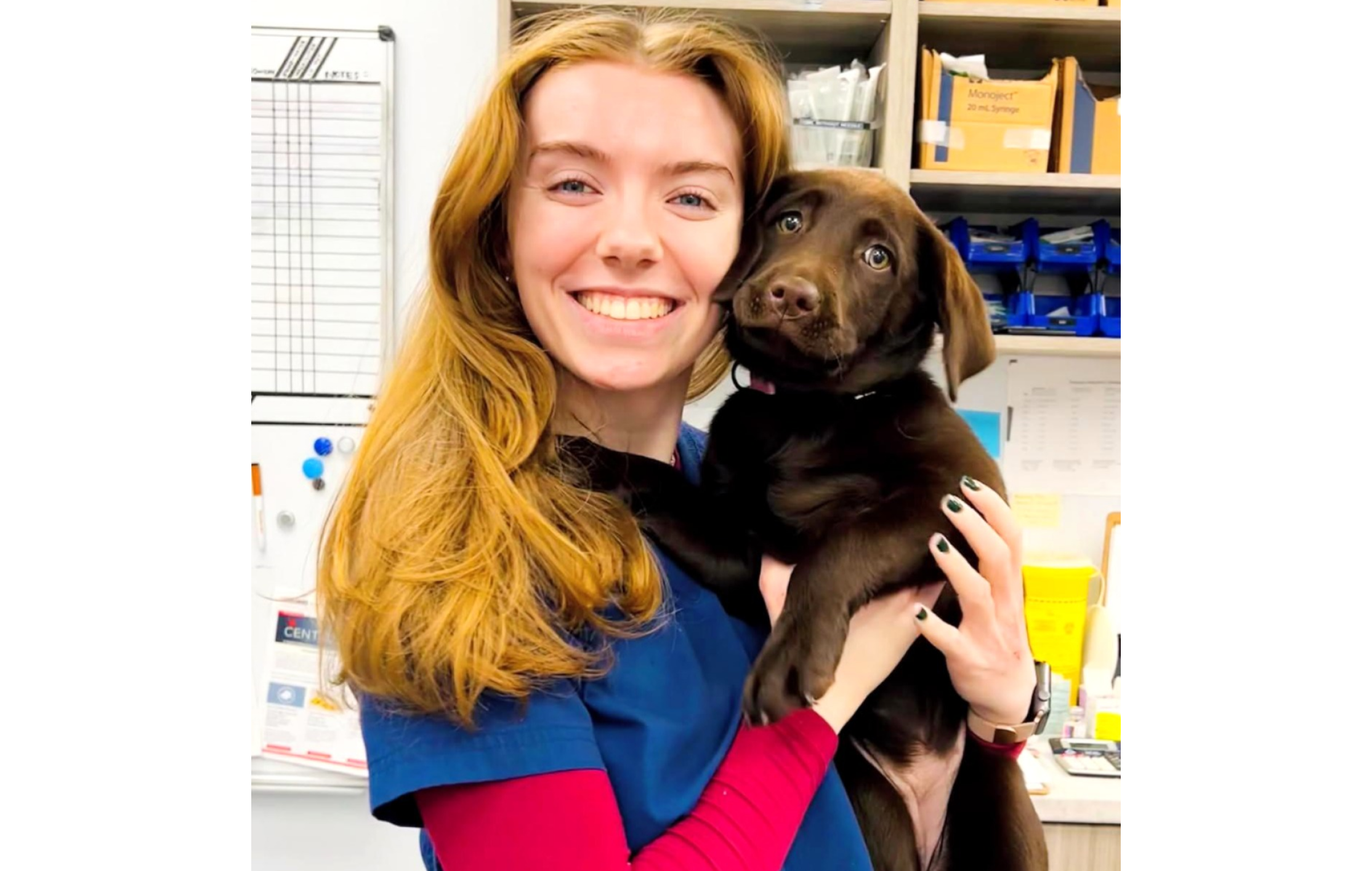 Valley Veterinary Hospital posing with puppies
