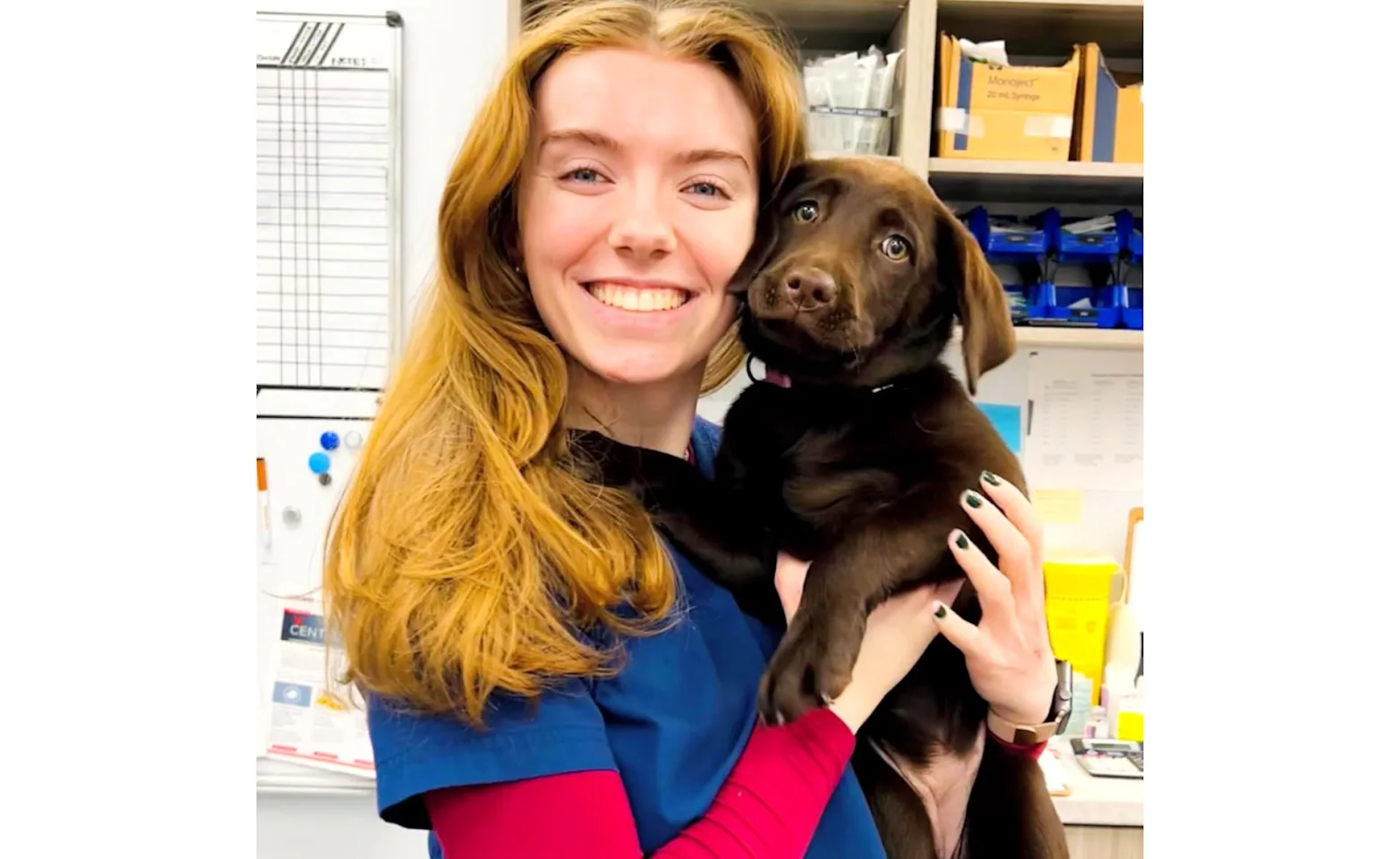 Valley Veterinary Hospital posing with puppies Valley Veterinary Hospital posing with puppies