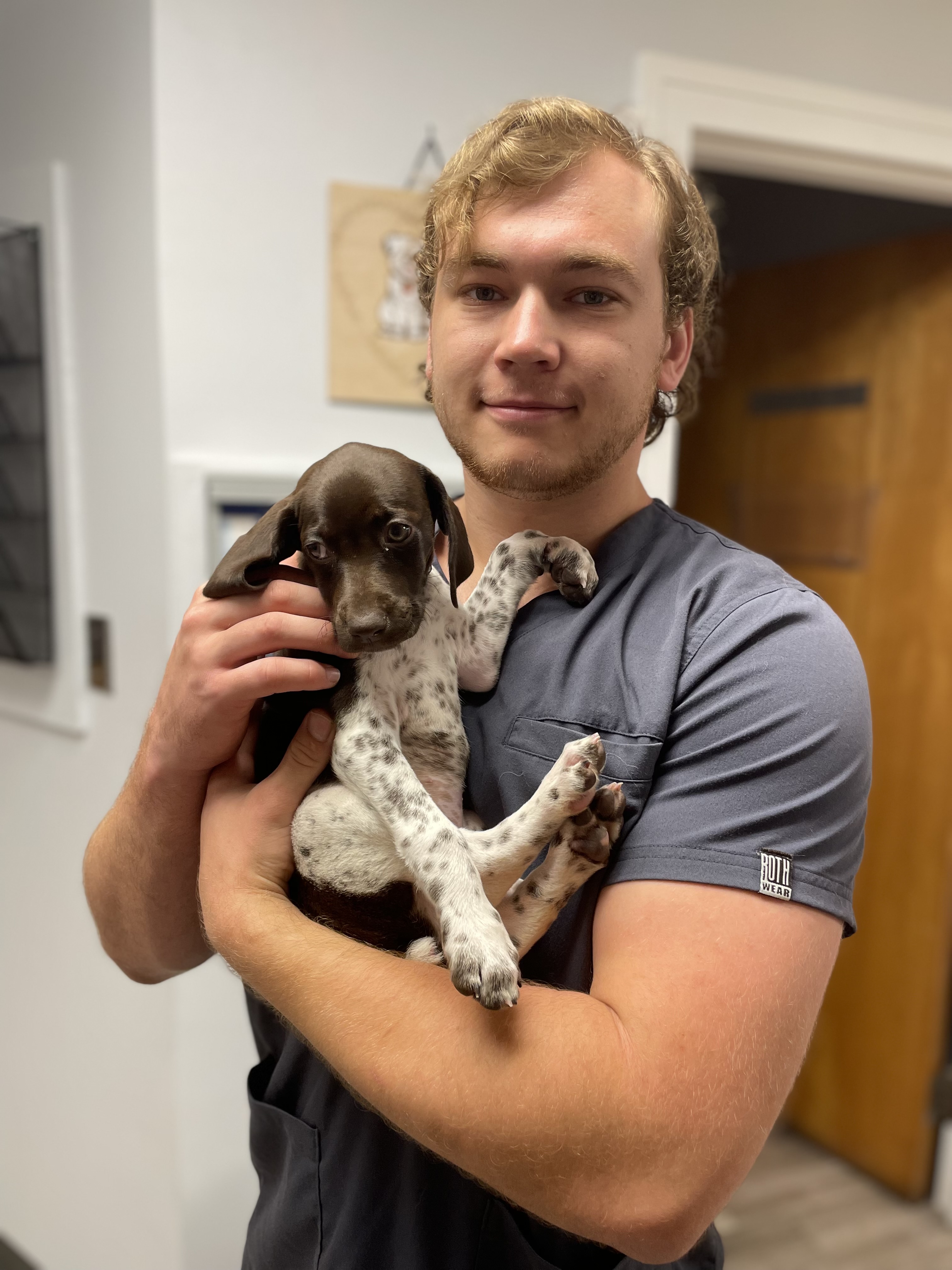 Spotted Dog Being Held at Ferry Farm Animal Clinic