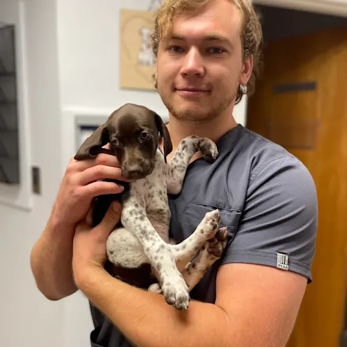 Spotted Dog Being Held at Ferry Farm Animal Clinic Spotted Dog Being Held at Ferry Farm Animal Clinic