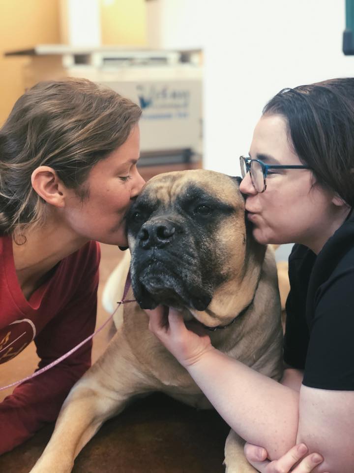 Two women kissing a dog