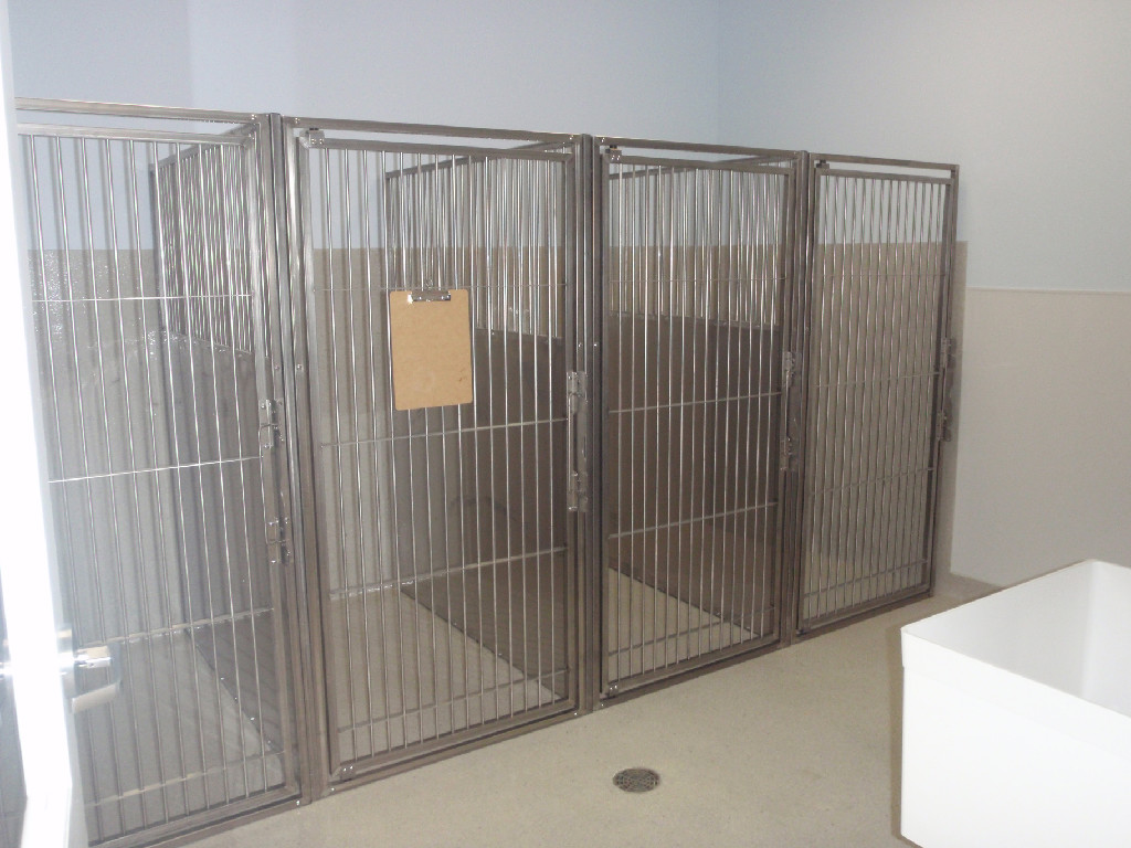 Hospital Patient Holding Area