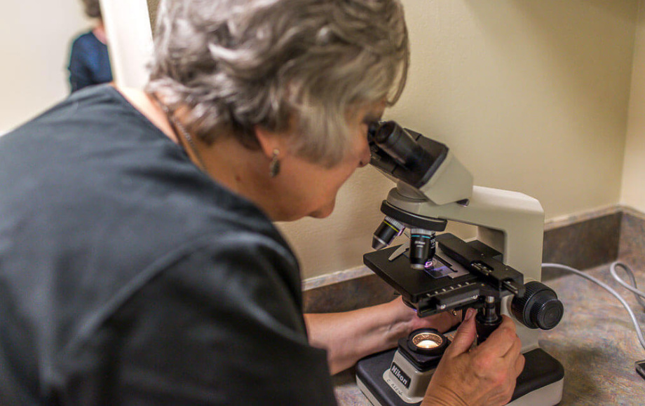 Staff using a microscope to examine 