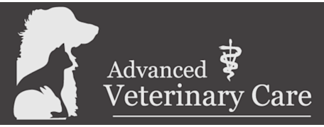 Advanced Veterinary Care Logo Advanced Veterinary Care Logo