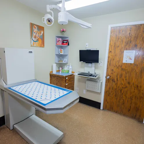 Exam Room 3 Exam Room 3