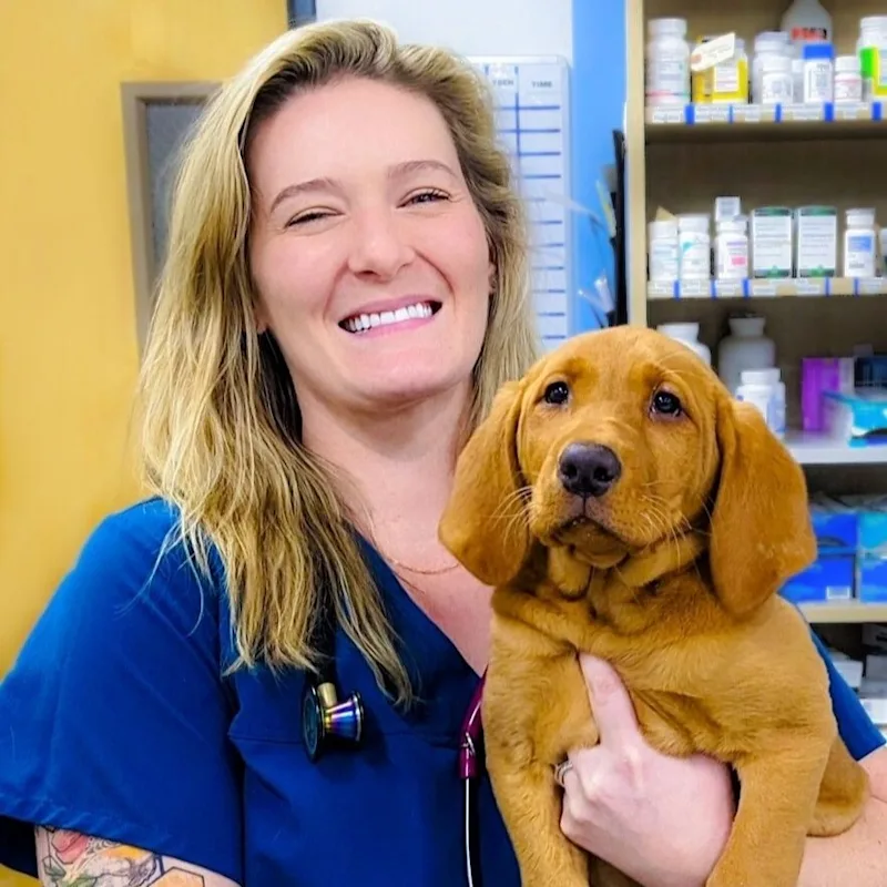 Dr. Callan Cooper Dr. Callan Cooper