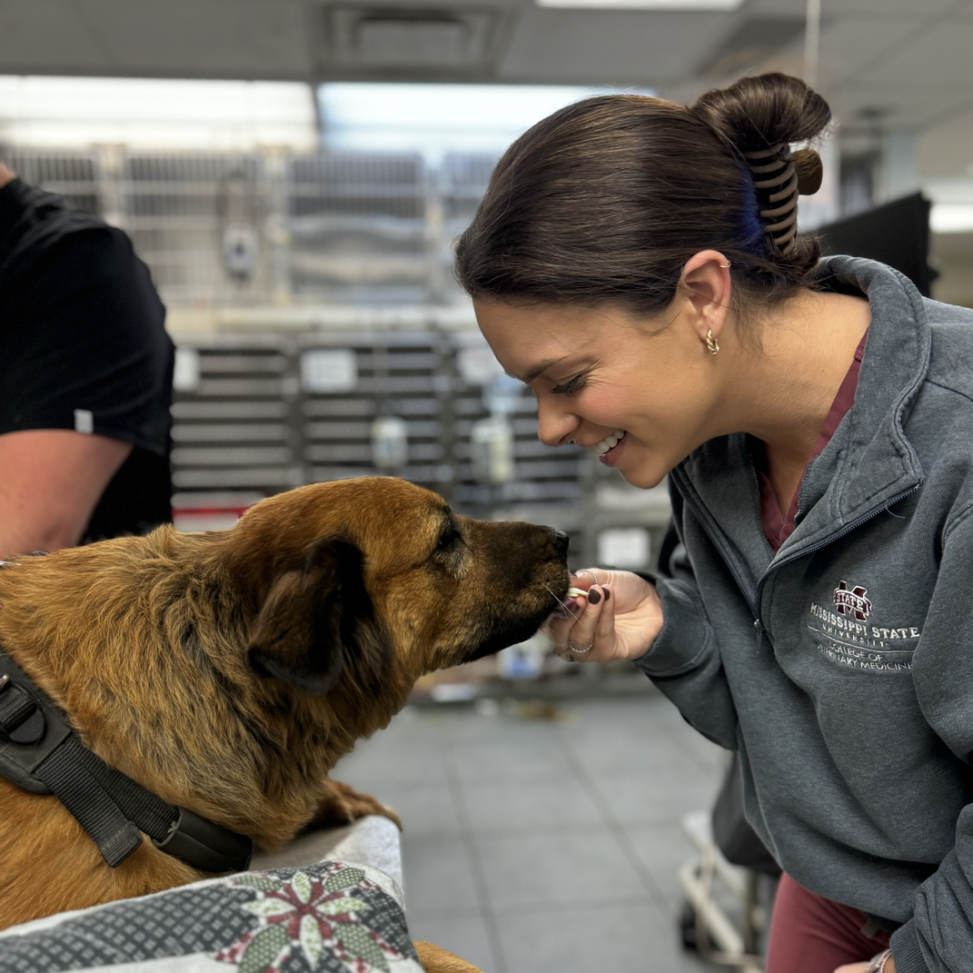 Our Staff Feeding a Patient (Dog) Treats