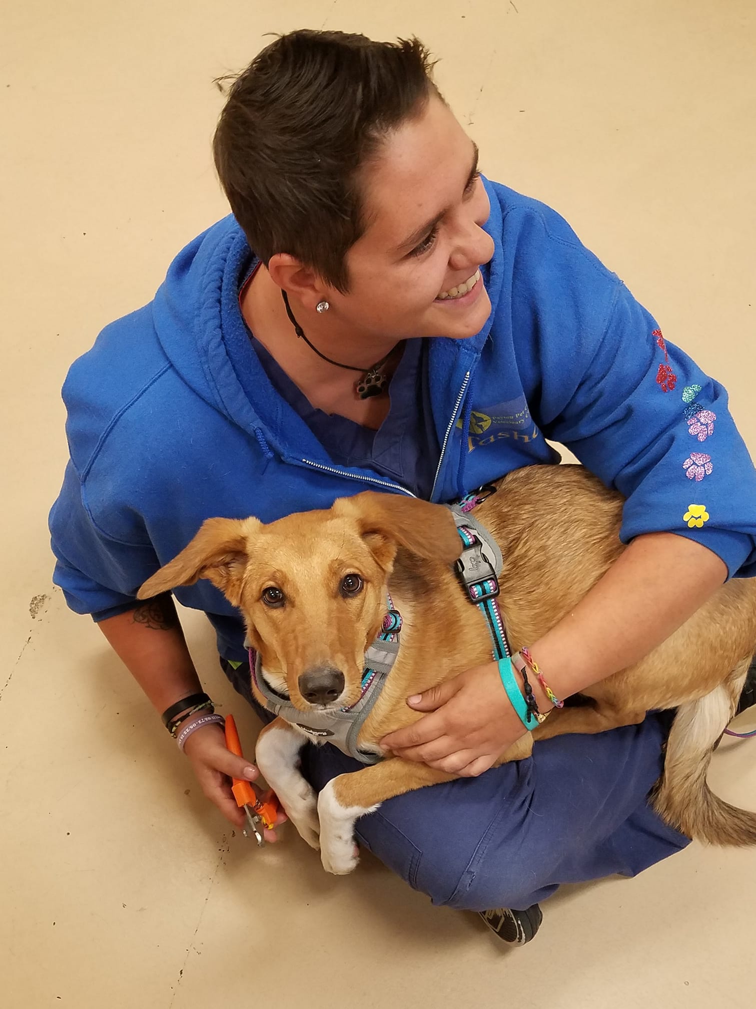 Staff member trimming dogs nails 