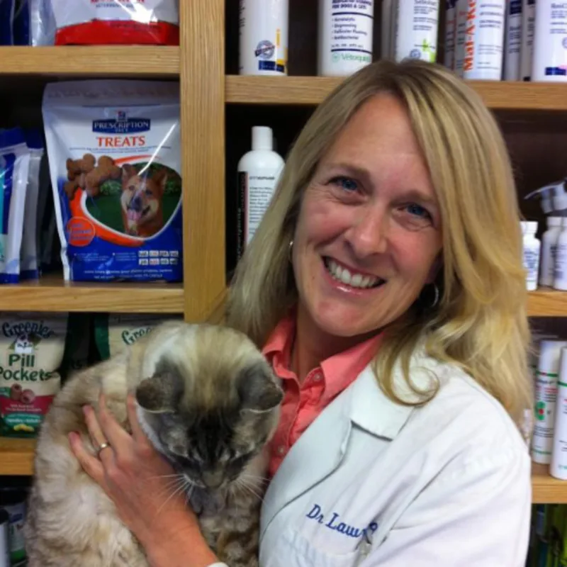 Dr. Jennifer Lawrence holding a cat. Dr. Jennifer Lawrence holding a cat.